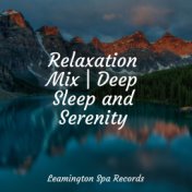 Relaxation Mix | Deep Sleep and Serenity