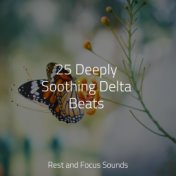 25 Deeply Soothing Delta Beats