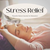 Stress Relief: Peaceful Nature Sounds for Relaxation