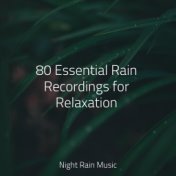 80 Essential Rain Recordings for Relaxation