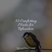 35 Comforting Music for Relaxation