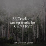 35 Tracks to Easing Beats for Calm Night