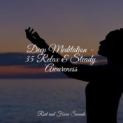 Deep Meditation - 35 Relax & Steady Awareness
