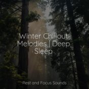 Winter Chillout Melodies | Deep Sleep