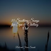 35 Soothing Songs for Spa & Chilling Out