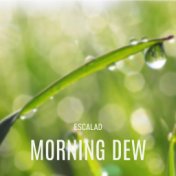 Morning dew