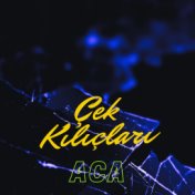 Çek Kılıçları