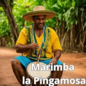 Marimba la Pringamosa