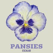 Pansies