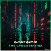 The Cyber Matrix