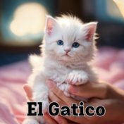 El Gatito (En Vivo)