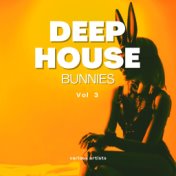 Deep-House Bunnies, Vol. 3