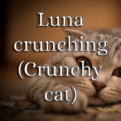 Luna Crunching (Crunchy Cat)