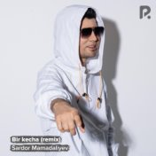 Bir kecha (remix)