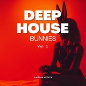 Deep-House Bunnies, Vol. 1