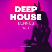 Deep-House Bunnies, Vol. 4