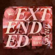 Extended Mixes 2023
