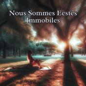 Nous Sommes Eestés Immobiles