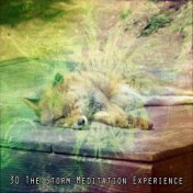 30 the Storm Meditation Experience