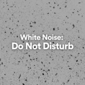 White Noise: Do Not Disturb