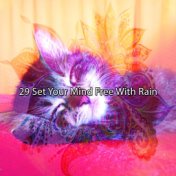 29 Set Your Mind Free With Rain