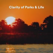 Clarity of Parks & Life