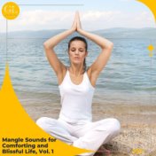 Mangle Sounds for Comforting and Blissful Life, Vol. 1