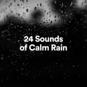 24 Sounds of Calm Rain