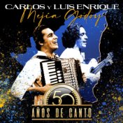 Carlos y Luis Enrique Mejia Godoy 50 Años de Canto