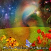 40 In The Wilds Storms With Meditation