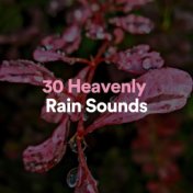 30 Heavenly Rain Sounds