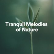 Tranquil Melodies of Nature