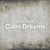 White Noise: Calm Dreams