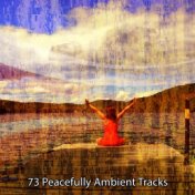73 Peacefully Ambient Tracks