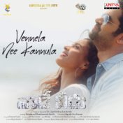 Vennela Nee Kannula (From"Vaade-Veedu")