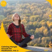 Calming Mangle Sounds for Meditation, Vol. 2