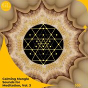 Calming Mangle Sounds for Meditation, Vol. 3