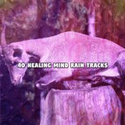 40 Healing Mind Rain Tracks