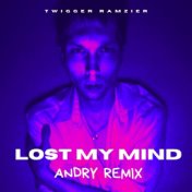 Lost my mind (Andry remix)