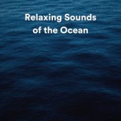 Relaxing Sounds of the Ocean
