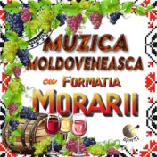 Muzica Moldoveneasca (Melodii frumoase de petrecere)