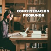 Concentración Profunda: Música Instrumental Suave para Trabajar y Estudiar Mejor