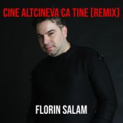 Cine Altcineva Ca Tine (Remix)