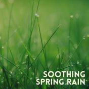 Soothing Spring Rain