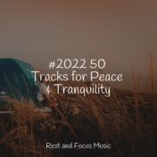 #2022 50 Tracks for Peace & Tranquility