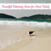 Beautiful Relaxing Music for Stress Relief