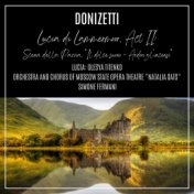 Lucia di Lammermoor, Act II: "Scena della Pazzia, Il dolce suono - Ardon gl'incensi" (Lucia) (Live)
