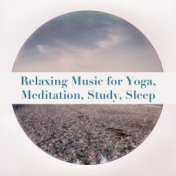 Relaxing Music for Yoga, Meditation, Study, Sleep
