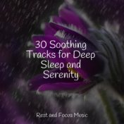 30 Soothing Tracks for Deep Sleep and Serenity