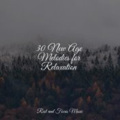 30 New Age Melodies for Relaxation